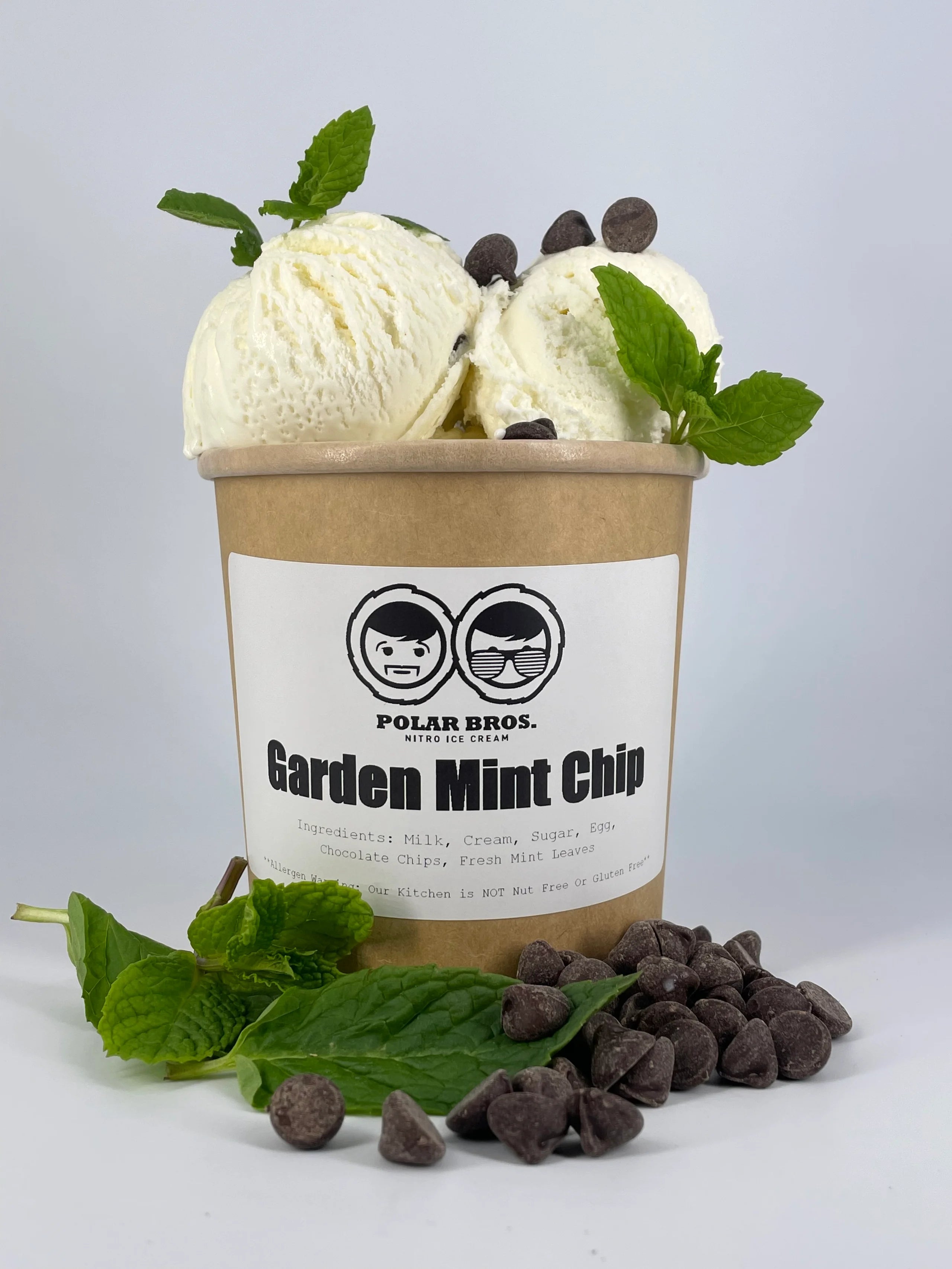 Garden Mint Chip Pint